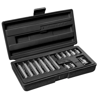 Torx kulcs készlet 15 részes Topex (39D391)