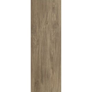 PARADYZ Wood basic brown gres szkl. 20 x 60 cm